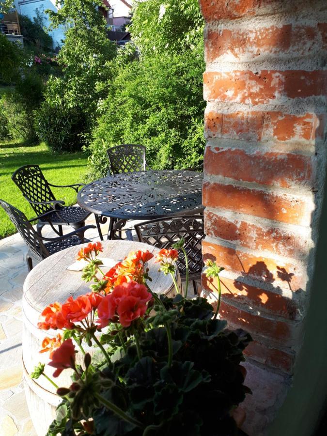 Ferienwohnung Pension Am Weinberg Mainstockheim Экстерьер фото