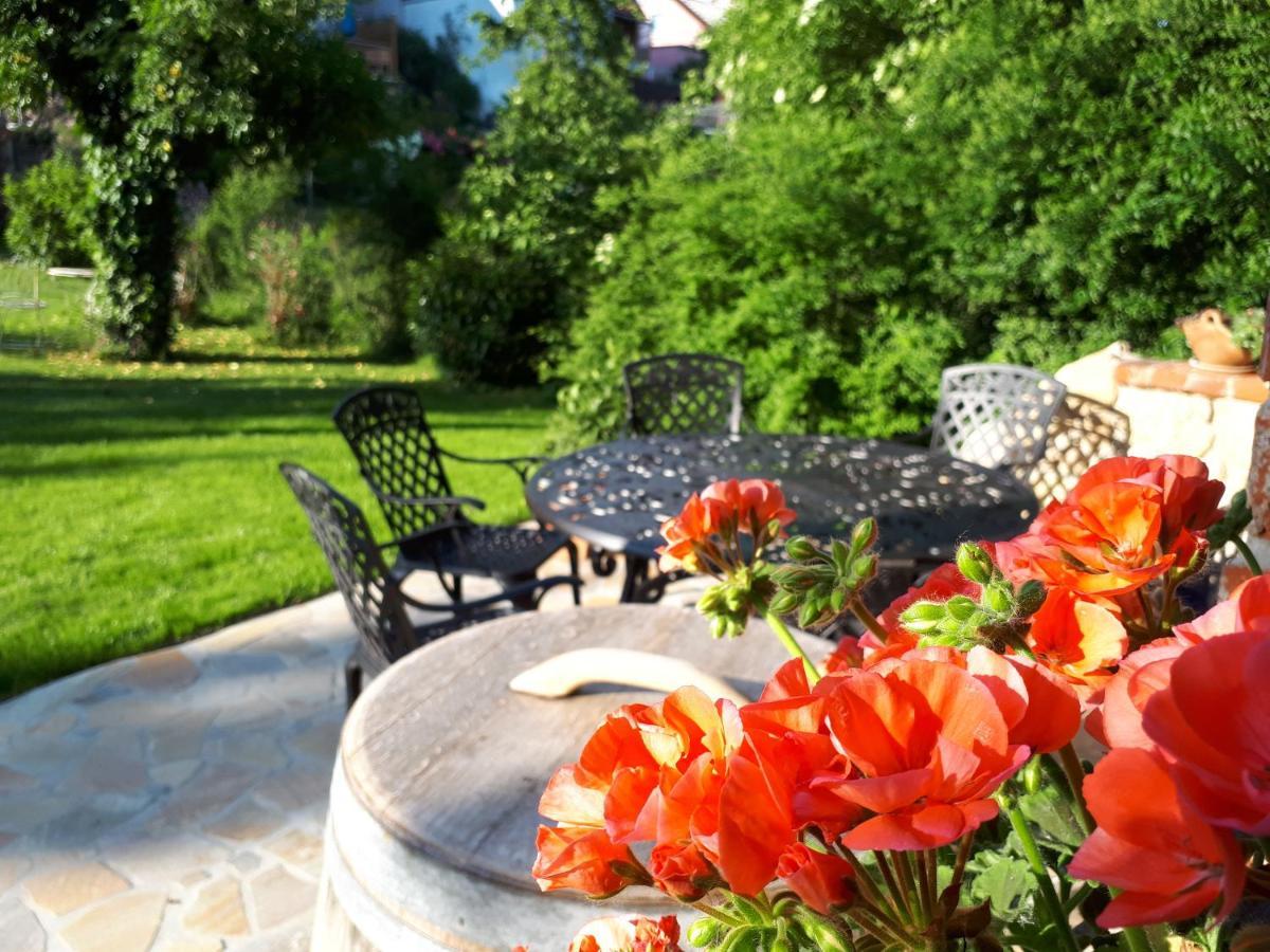 Ferienwohnung Pension Am Weinberg Mainstockheim Экстерьер фото